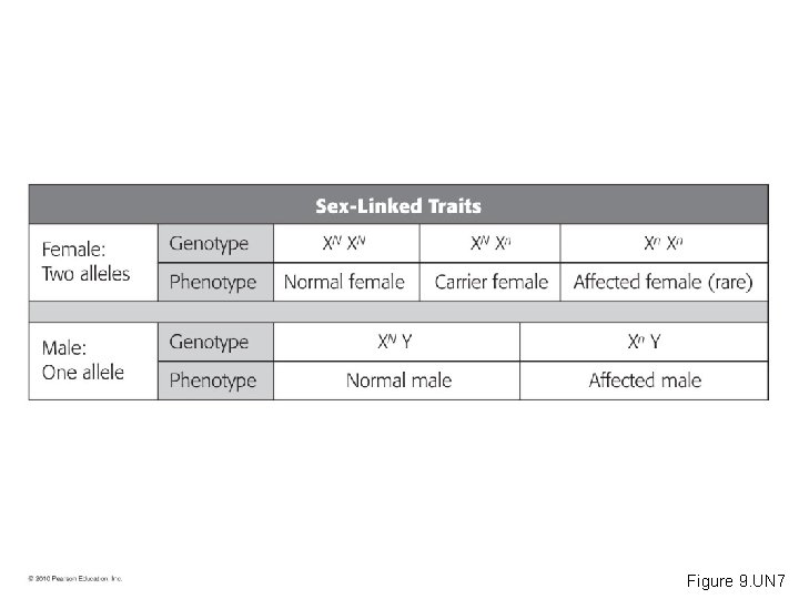 Figure 9. UN 7 