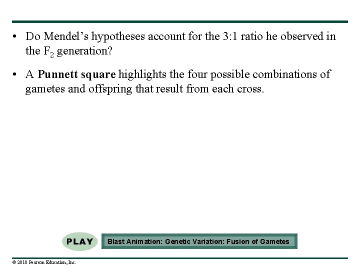  • Do Mendel’s hypotheses account for the 3: 1 ratio he observed in