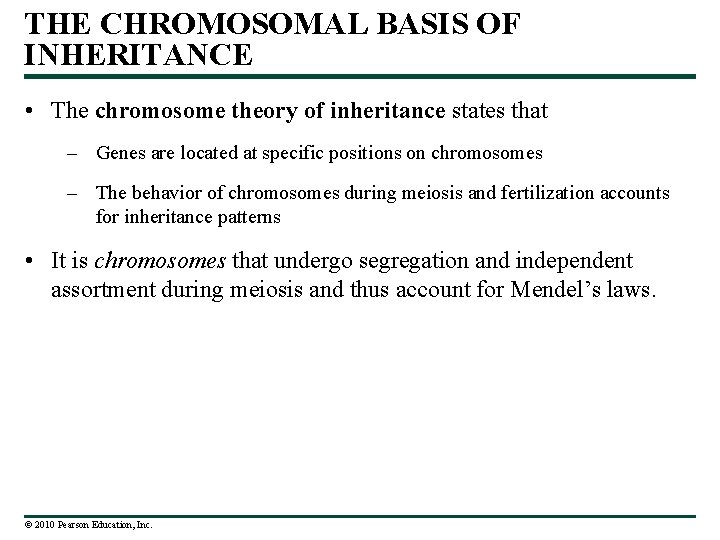 THE CHROMOSOMAL BASIS OF INHERITANCE • The chromosome theory of inheritance states that –