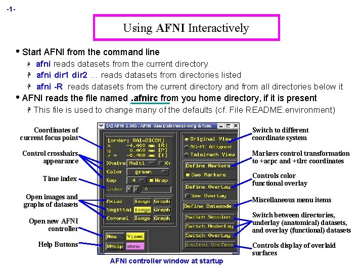 -1 - Using AFNI Interactively • Start AFNI from the command line H H