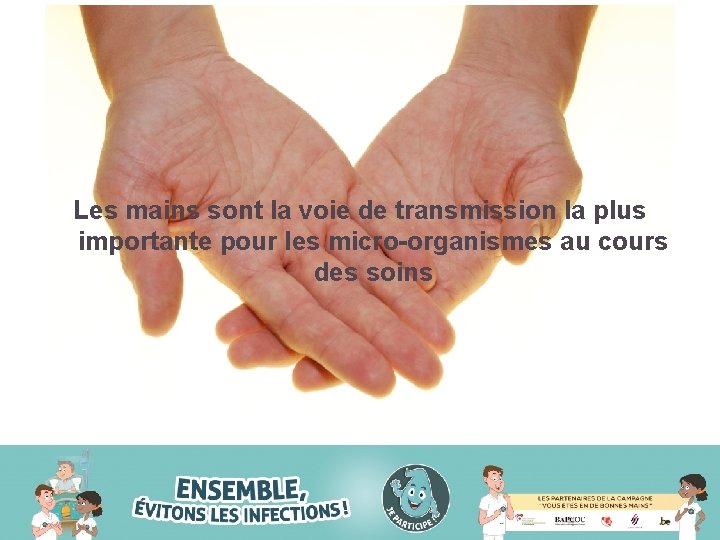 Les mains sont la voie de transmission la plus importante pour les micro-organismes au