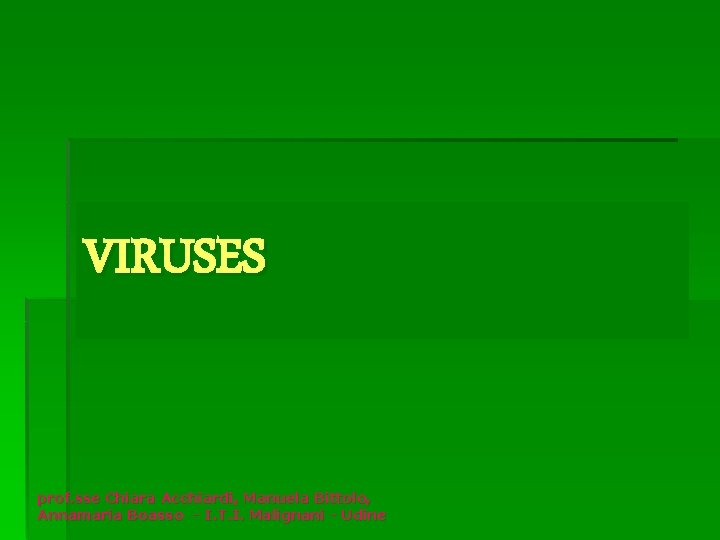 VIRUSES prof. sse Chiara Acchiardi, Manuela Bittolo, Annamaria Boasso - I. T. I. Malignani