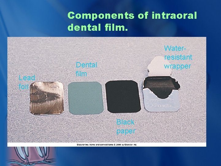 Components of intraoral dental film. Lead foil Waterresistant wrapper Dental film Black paper 