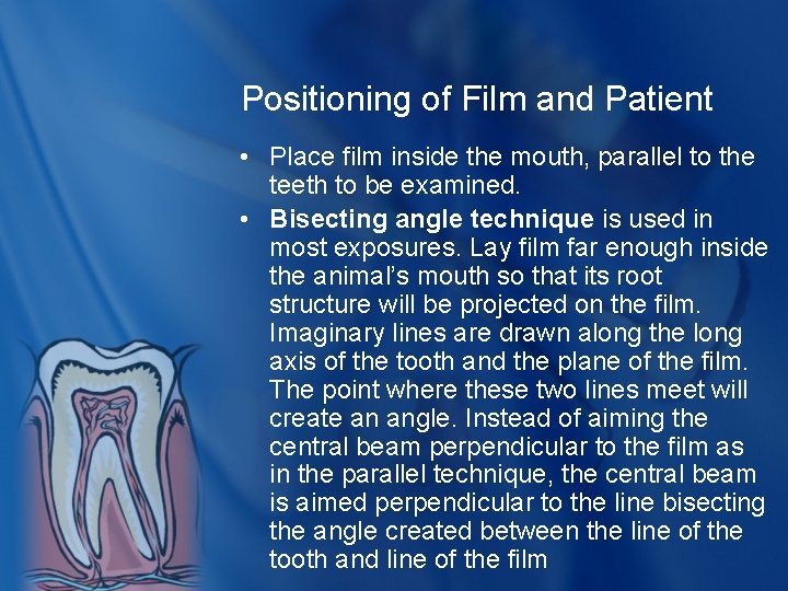 Positioning of Film and Patient • Place film inside the mouth, parallel to the