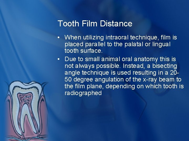Tooth Film Distance • When utilizing intraoral technique, film is placed parallel to the