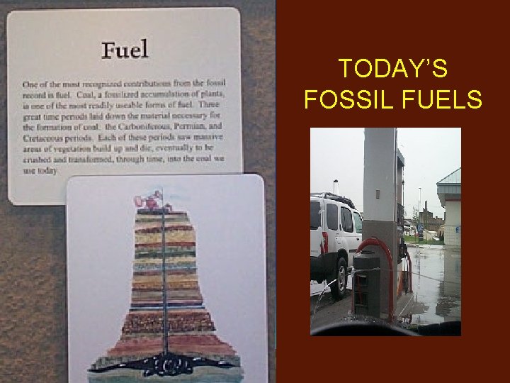 TODAY’S FOSSIL FUELS 