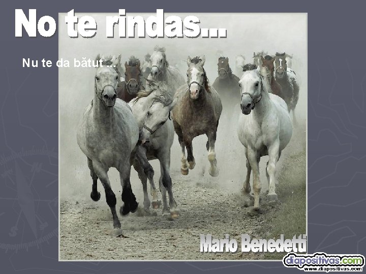 Nu te da bătut. . . 