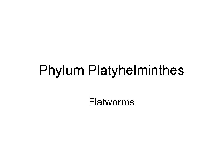 Phylum Platyhelminthes Flatworms 