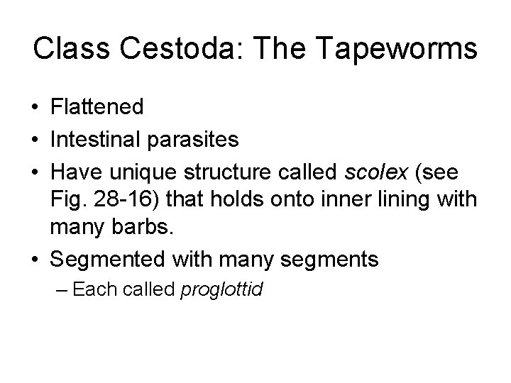 Class Cestoda: The Tapeworms • Flattened • Intestinal parasites • Have unique structure called