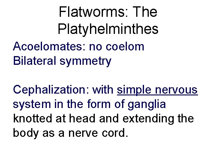 Flatworms: The Platyhelminthes Acoelomates: no coelom Bilateral symmetry Cephalization: with simple nervous system in