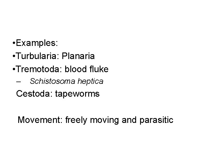  • Examples: • Turbularia: Planaria • Tremotoda: blood fluke – Schistosoma heptica Cestoda: