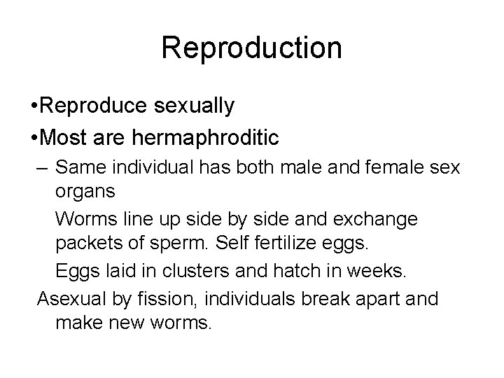 Reproduction • Reproduce sexually • Most are hermaphroditic – Same individual has both male