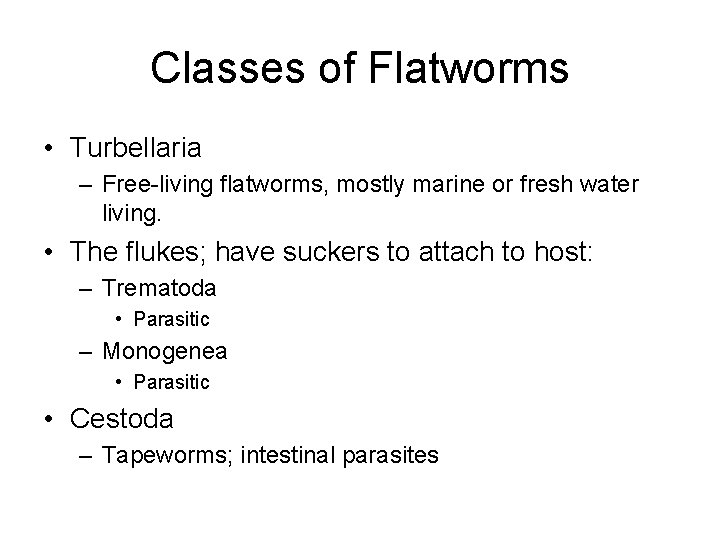 Classes of Flatworms • Turbellaria – Free-living flatworms, mostly marine or fresh water living.