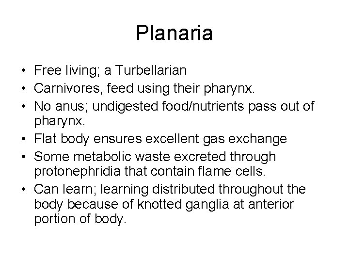 Planaria • Free living; a Turbellarian • Carnivores, feed using their pharynx. • No