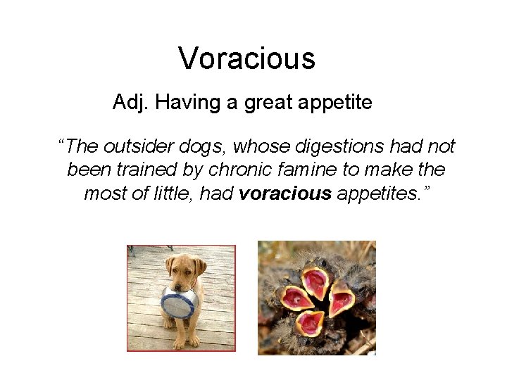 Voracious Adj. Having a great appetite “The outsider dogs, whose digestions had not been