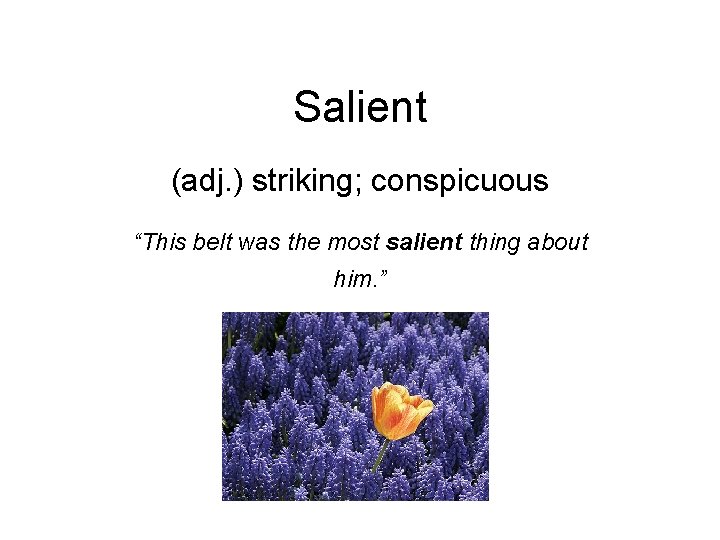 Salient (adj. ) striking; conspicuous “This belt was the most salient thing about him.