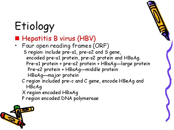 Etiology n Hepatitis B virus (HBV) • Four open reading frames (ORF) S region: