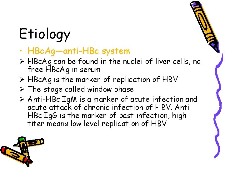 Etiology • HBc. Ag—anti-HBc system Ø HBc. Ag can be found in the nuclei