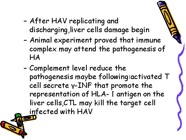 – After HAV replicating and discharging, liver cells damage begin – Animal experiment proved
