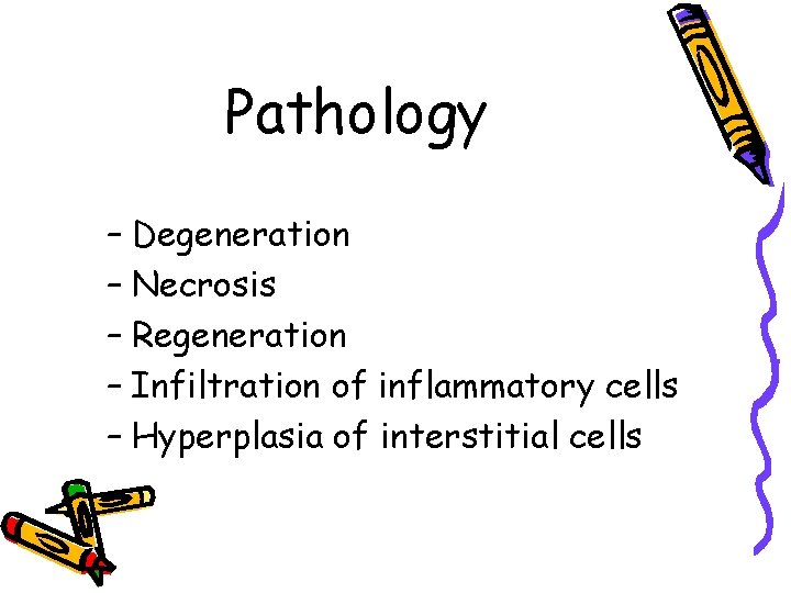 Pathology – Degeneration – Necrosis – Regeneration – Infiltration of inflammatory cells – Hyperplasia