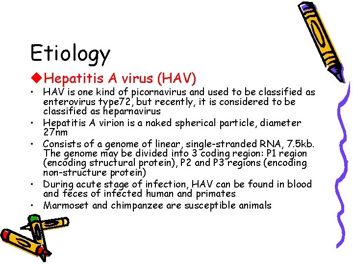 Etiology u. Hepatitis A virus (HAV) • HAV is one kind of picornavirus and