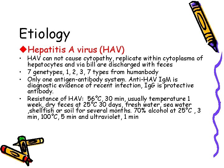 Etiology u. Hepatitis A virus (HAV) • HAV can not cause cytopathy, replicate within