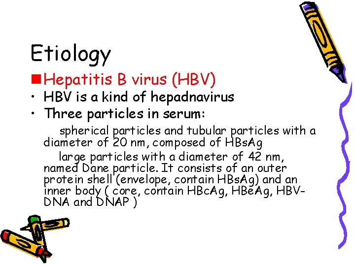 Etiology n Hepatitis B virus (HBV) • HBV is a kind of hepadnavirus •