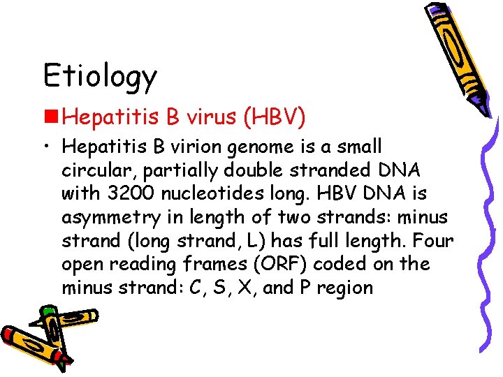 Etiology n Hepatitis B virus (HBV) • Hepatitis B virion genome is a small