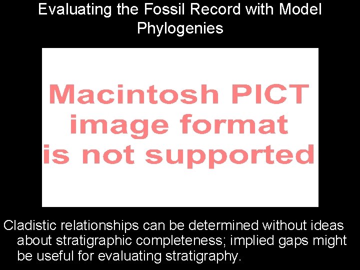 Evaluating the Fossil Record with Model Phylogenies Cladistic relationships can be determined without ideas