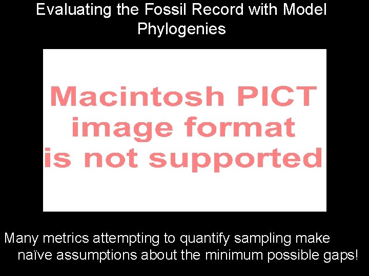 Evaluating the Fossil Record with Model Phylogenies Many metrics attempting to quantify sampling make