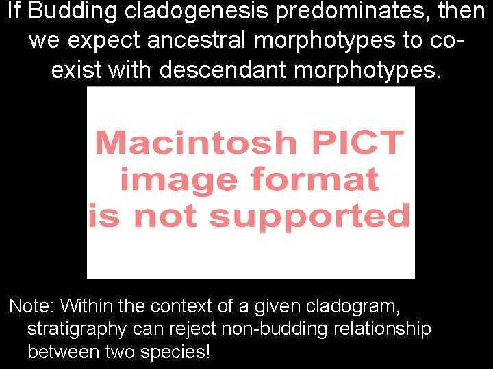 If Budding cladogenesis predominates, then we expect ancestral morphotypes to coexist with descendant morphotypes.