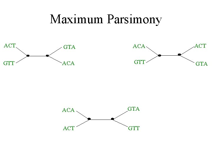 Maximum Parsimony ACT GTA ACT GTT ACA GTT GTA ACA GTA ACT GTT 