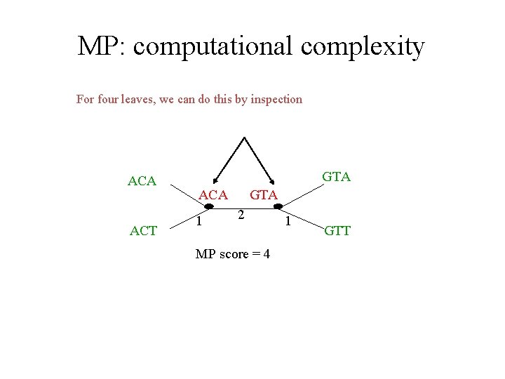 MP: computational complexity For four leaves, we can do this by inspection ACA ACT