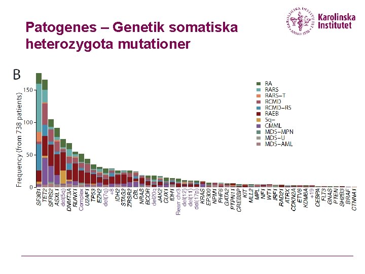 Patogenes – Genetik somatiska heterozygota mutationer 