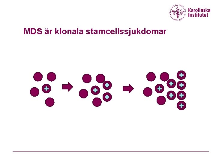 MDS är klonala stamcellssjukdomar 