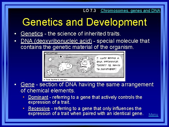 LO 7. 3 Chromosomes, genes and DNA Genetics and Development • Genetics - the