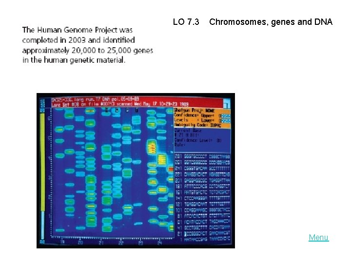 LO 7. 3 Chromosomes, genes and DNA Menu 