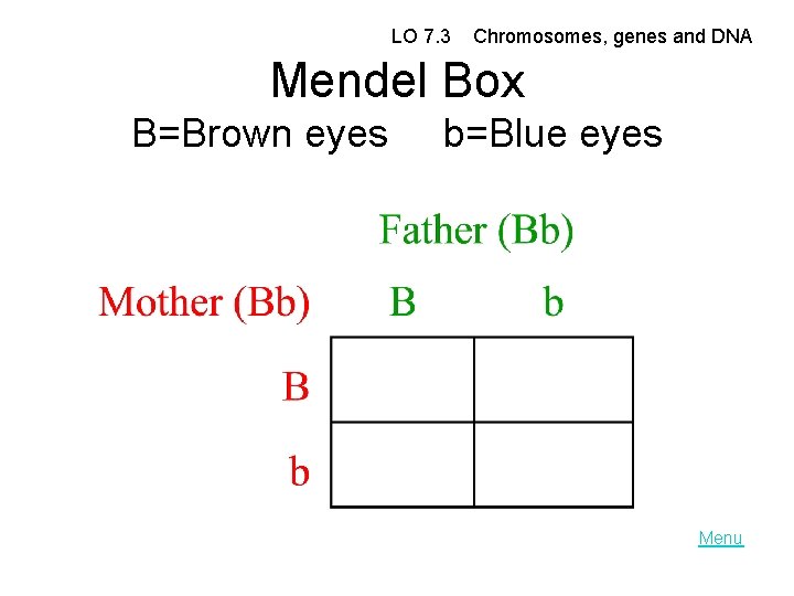 LO 7. 3 Chromosomes, genes and DNA Mendel Box B=Brown eyes b=Blue eyes Menu