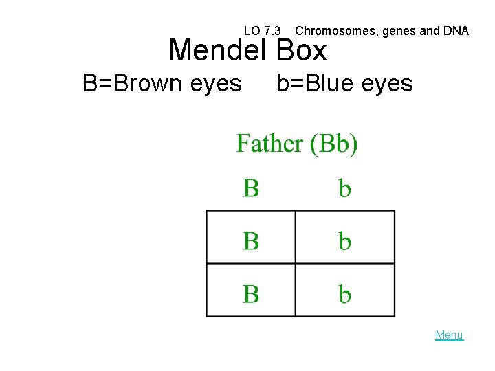  LO 7. 3 Chromosomes, genes and DNA Mendel Box B=Brown eyes b=Blue eyes