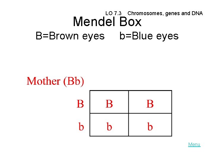  LO 7. 3 Chromosomes, genes and DNA Mendel Box B=Brown eyes b=Blue eyes