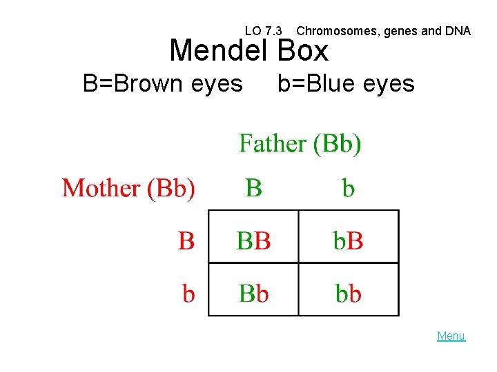  LO 7. 3 Chromosomes, genes and DNA Mendel Box B=Brown eyes b=Blue eyes