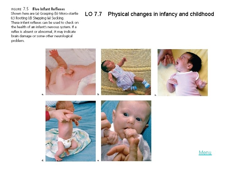 LO 7. 7 Physical changes in infancy and childhood Menu 