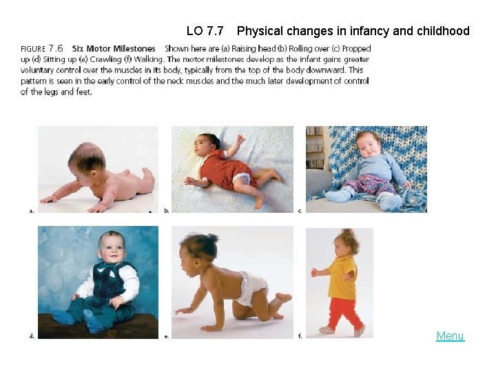 LO 7. 7 Physical changes in infancy and childhood Menu 