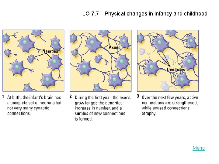 LO 7. 7 Physical changes in infancy and childhood Menu 