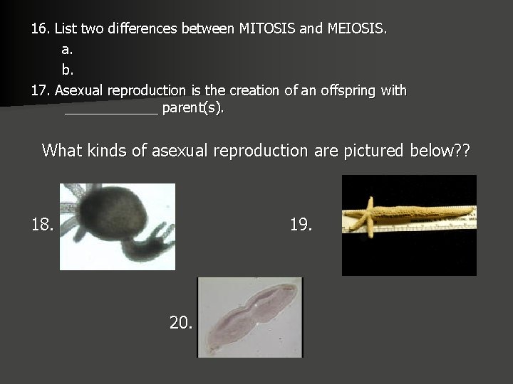 16. List two differences between MITOSIS and MEIOSIS. a. b. 17. Asexual reproduction is