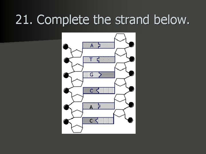 21. Complete the strand below. A C 