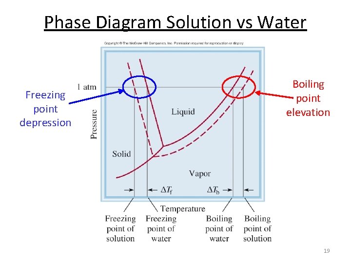 Phase Diagram Solution vs Water Freezing point depression Boiling point elevation 19 