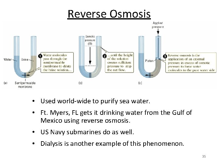 Reverse Osmosis • Used world-wide to purify sea water. • Ft. Myers, FL gets