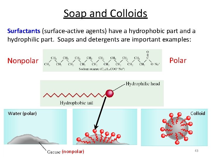 Soap and Colloids Surfactants (surface-active agents) have a hydrophobic part and a hydrophilic part.