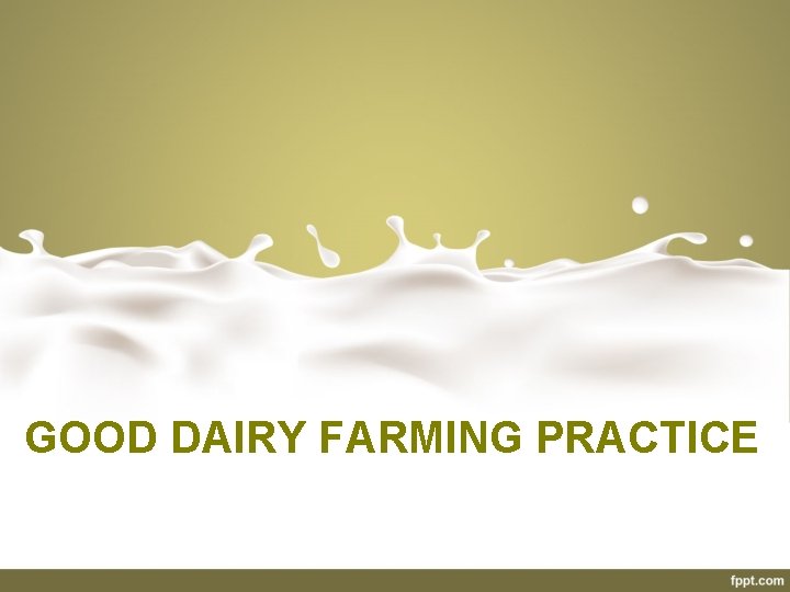 GOOD DAIRY FARMING PRACTICE 